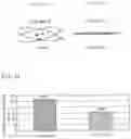Fig. 17 - CULTURE CONTAINER, METHOD FOR CULTURING LYMPHOCYTES, CULTURE-CONTAINER PRODUCTION METHOD, AND SOLID-PHASING APPARATUS