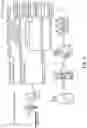 Fig. 02 - COMPOSITION FOR DEGRADATION OF MYCOTOXIN COMPRISING ASPERGILLUS CULTURE FILTRATE CONTAINING IRON COMPOUND OR YEAST EXTRACT AS EFFECTIVE COMPONENT AND USES THEREOF