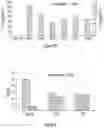 Fig. 06 - RECOMBINANT YEAST HOST CELLS EXPRESSING CELL-ASSOCIATED HETEROLOGOUS PROTEINS