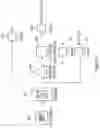 Fig. 10 - RECOMBINANT YEAST HOST CELLS EXPRESSING CELL-ASSOCIATED HETEROLOGOUS PROTEINS