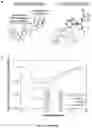 Fig. 02 - A Self-Assembling Short Amphiphilic Peptide And Related Methods And Uses