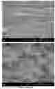 Fig. 03 - A Self-Assembling Short Amphiphilic Peptide And Related Methods And Uses