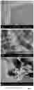 Fig. 06 - A Self-Assembling Short Amphiphilic Peptide And Related Methods And Uses
