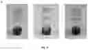 Fig. 12 - A Self-Assembling Short Amphiphilic Peptide And Related Methods And Uses