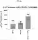 Fig. 04 - COMPOSITIONS AND METHODS FOR GENERATING HAIR CELLS BY INHIBITING EPIGENETIC TARGETS