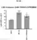 Fig. 05 - COMPOSITIONS AND METHODS FOR GENERATING HAIR CELLS BY INHIBITING EPIGENETIC TARGETS