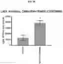 Fig. 06 - COMPOSITIONS AND METHODS FOR GENERATING HAIR CELLS BY INHIBITING EPIGENETIC TARGETS