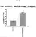 Fig. 07 - COMPOSITIONS AND METHODS FOR GENERATING HAIR CELLS BY INHIBITING EPIGENETIC TARGETS