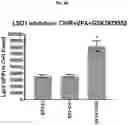 Fig. 08 - COMPOSITIONS AND METHODS FOR GENERATING HAIR CELLS BY INHIBITING EPIGENETIC TARGETS