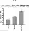 Fig. 09 - COMPOSITIONS AND METHODS FOR GENERATING HAIR CELLS BY INHIBITING EPIGENETIC TARGETS