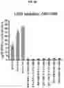 Fig. 13 - COMPOSITIONS AND METHODS FOR GENERATING HAIR CELLS BY INHIBITING EPIGENETIC TARGETS