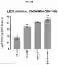Fig. 15 - COMPOSITIONS AND METHODS FOR GENERATING HAIR CELLS BY INHIBITING EPIGENETIC TARGETS