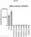Fig. 16 - COMPOSITIONS AND METHODS FOR GENERATING HAIR CELLS BY INHIBITING EPIGENETIC TARGETS