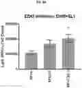 Fig. 18 - COMPOSITIONS AND METHODS FOR GENERATING HAIR CELLS BY INHIBITING EPIGENETIC TARGETS