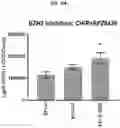 Fig. 20 - COMPOSITIONS AND METHODS FOR GENERATING HAIR CELLS BY INHIBITING EPIGENETIC TARGETS