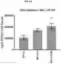 Fig. 22 - COMPOSITIONS AND METHODS FOR GENERATING HAIR CELLS BY INHIBITING EPIGENETIC TARGETS