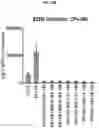Fig. 24 - COMPOSITIONS AND METHODS FOR GENERATING HAIR CELLS BY INHIBITING EPIGENETIC TARGETS