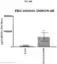 Fig. 28 - COMPOSITIONS AND METHODS FOR GENERATING HAIR CELLS BY INHIBITING EPIGENETIC TARGETS