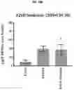 Fig. 33 - COMPOSITIONS AND METHODS FOR GENERATING HAIR CELLS BY INHIBITING EPIGENETIC TARGETS