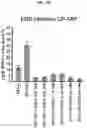 Fig. 35 - COMPOSITIONS AND METHODS FOR GENERATING HAIR CELLS BY INHIBITING EPIGENETIC TARGETS