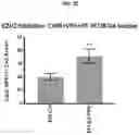 Fig. 46 - COMPOSITIONS AND METHODS FOR GENERATING HAIR CELLS BY INHIBITING EPIGENETIC TARGETS