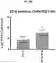 Fig. 51 - COMPOSITIONS AND METHODS FOR GENERATING HAIR CELLS BY INHIBITING EPIGENETIC TARGETS