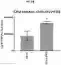 Fig. 52 - COMPOSITIONS AND METHODS FOR GENERATING HAIR CELLS BY INHIBITING EPIGENETIC TARGETS