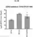 Fig. 57 - COMPOSITIONS AND METHODS FOR GENERATING HAIR CELLS BY INHIBITING EPIGENETIC TARGETS