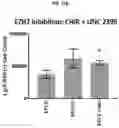 Fig. 60 - COMPOSITIONS AND METHODS FOR GENERATING HAIR CELLS BY INHIBITING EPIGENETIC TARGETS