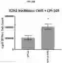 Fig. 64 - COMPOSITIONS AND METHODS FOR GENERATING HAIR CELLS BY INHIBITING EPIGENETIC TARGETS
