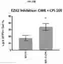 Fig. 65 - COMPOSITIONS AND METHODS FOR GENERATING HAIR CELLS BY INHIBITING EPIGENETIC TARGETS