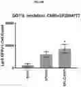 Fig. 66 - COMPOSITIONS AND METHODS FOR GENERATING HAIR CELLS BY INHIBITING EPIGENETIC TARGETS