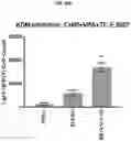 Fig. 70 - COMPOSITIONS AND METHODS FOR GENERATING HAIR CELLS BY INHIBITING EPIGENETIC TARGETS