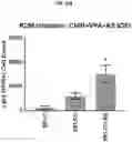 Fig. 72 - COMPOSITIONS AND METHODS FOR GENERATING HAIR CELLS BY INHIBITING EPIGENETIC TARGETS
