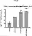 Fig. 77 - COMPOSITIONS AND METHODS FOR GENERATING HAIR CELLS BY INHIBITING EPIGENETIC TARGETS