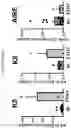 Fig. 18 - METHODS OF PROMOTING THYMIC EPITHELIAL CELL AND THYMIC EPITHELIAL CELL PROGENITOR DIFFERENTIATION OF PLURIPOTENT STEM CELLS, RESULTING CELLS, AND USES THEREOF