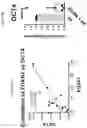 Fig. 23 - METHODS OF PROMOTING THYMIC EPITHELIAL CELL AND THYMIC EPITHELIAL CELL PROGENITOR DIFFERENTIATION OF PLURIPOTENT STEM CELLS, RESULTING CELLS, AND USES THEREOF
