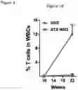 Fig. 25 - METHODS OF PROMOTING THYMIC EPITHELIAL CELL AND THYMIC EPITHELIAL CELL PROGENITOR DIFFERENTIATION OF PLURIPOTENT STEM CELLS, RESULTING CELLS, AND USES THEREOF
