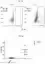 Fig. 05 - METHOD FOR LARGE-SCALE PRODUCTION OF ALLOSPECIFIC TYPE 1 REGULATORY TREGS (TR1) STABLE IN THE PRESENCE OF PROINFLAMMATORY CYTOKINES WITH THERAPEUTIC POTENTIAL IN TRANSPLANTATION