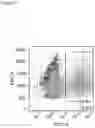 Fig. 02 - Universal Killer T-Cell