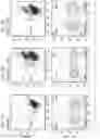 Fig. 04 - Universal Killer T-Cell