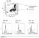 Fig. 05 - Universal Killer T-Cell