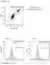 Fig. 06 - Universal Killer T-Cell