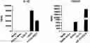 Fig. 01 - GENETICALLY MODIFIED HEMATOPOIETIC STEM AND PROGENITOR CELLS (HSPCS) AND MESENCHYMAL CELLS AS A PLATFORM TO REDUCE OR PREVENT METASTASIS, TREAT AUTOIMMUNE AND INFLAMMATORY DISORDERS, AND REBALANCE THE IMMUNE MILIEU AND DYSREGULATED NICHES