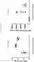 Fig. 31 - GENETICALLY MODIFIED HEMATOPOIETIC STEM AND PROGENITOR CELLS (HSPCS) AND MESENCHYMAL CELLS AS A PLATFORM TO REDUCE OR PREVENT METASTASIS, TREAT AUTOIMMUNE AND INFLAMMATORY DISORDERS, AND REBALANCE THE IMMUNE MILIEU AND DYSREGULATED NICHES