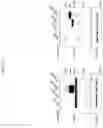 Fig. 81 - GENETICALLY MODIFIED HEMATOPOIETIC STEM AND PROGENITOR CELLS (HSPCS) AND MESENCHYMAL CELLS AS A PLATFORM TO REDUCE OR PREVENT METASTASIS, TREAT AUTOIMMUNE AND INFLAMMATORY DISORDERS, AND REBALANCE THE IMMUNE MILIEU AND DYSREGULATED NICHES