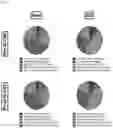 Fig. 02 - COMPOSITIONS AND METHODS FOR STEM CELL THERAPY