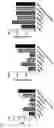 Fig. 05 - COMPOSITIONS AND METHODS FOR STEM CELL THERAPY