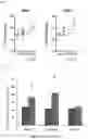 Fig. 06 - COMPOSITIONS AND METHODS FOR STEM CELL THERAPY