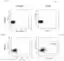 Fig. 04 - Xeno-free generation of tissue-specific progenitor cells